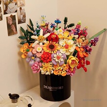 2026�¿�eľ����ƴ�b��ߔ[��������õ�廨����Ͱ���ֵŮ���Y��