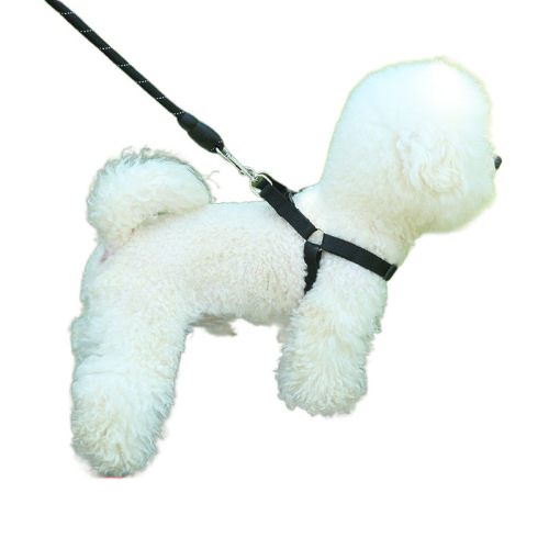 Dog Leash 2m 3m Dog Harness Back Harness Golden Retriever TEDDY Small Medium Large Dog Walking Rope Pet Collar