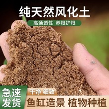 ֶL辰ȻɰɳwǤʯ@IB