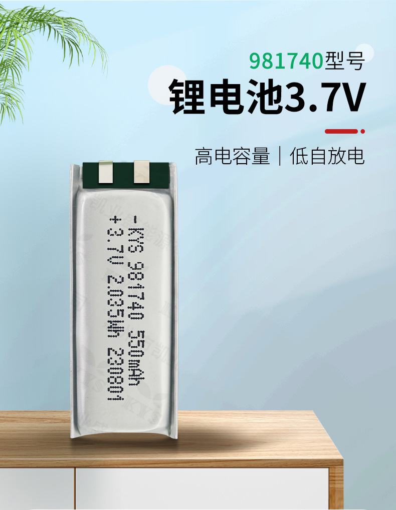 981740详情_01.jpg