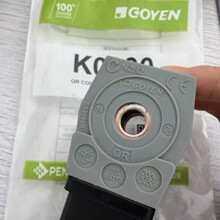 正品GOYEN脉冲阀线圈N282 CA76MM040-3051793 RCAC25DD4002 3000