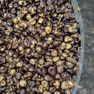 ������Ƭ�����ը�C �㹽��յ͜���ը�C vf���乽Óˮ���a��