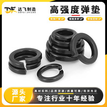 �ߏ��ȏ��ɉ|�l�ڏ��|���ɉ|Ȧ�S��ֱ�����l�ݽz��ĸ�|Ƭƽ�|���b