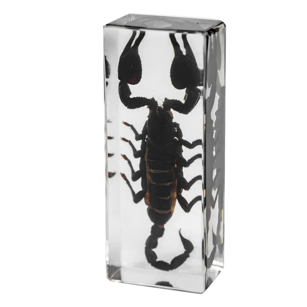 11CM large crystal black scorpion