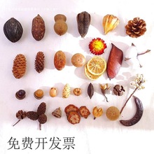 Ȼɹǧy׃@ֹbɻ}QDIY֦l