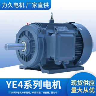 山东力久YE4三相异步电机 风机水泵机械设备电机可按需加工定制