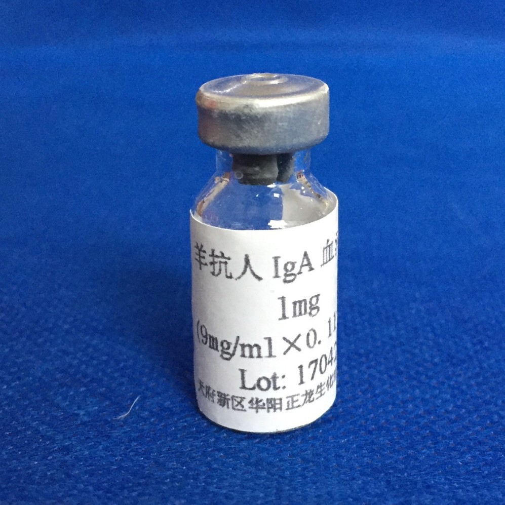 ����IgA����-1.0MG