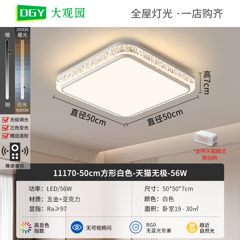 Luz de techo de sala de estar moderna y simple nueva luz de lujo de alto nivel, luz de techo de protección de ojos de espectro completo 293L