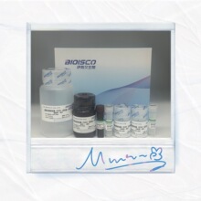 ���������绯ø��SOD����WST-8�����z�yԇ���� ����r��