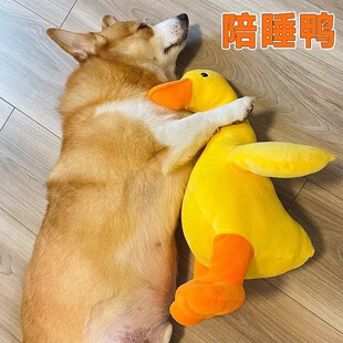 ������߽␞ë�q�����l�lйĥ��С��С����Ȯ̩�Ͻ�ë����»�