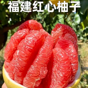 �����r�o�ۺ󡿸���ƽ�͹�Ϫ�t�����������Ӽt�⮔���Fժ�r�֑���