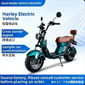 Exported to Brazil: Harley electric motorcycle, high-power electric scooter, large-platform high-speed adult electric vehicle, personal transport vehicle