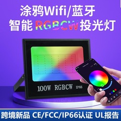 クロスボーダー落書きスマート wifi Bluetooth rgbcw カラー投光器屋外照明中庭ツリー LED 投光器