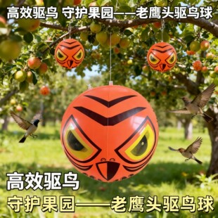 �羳����PVC���؈�^�����۷����ɫ���@�s�B�� ���B����Ƭ��