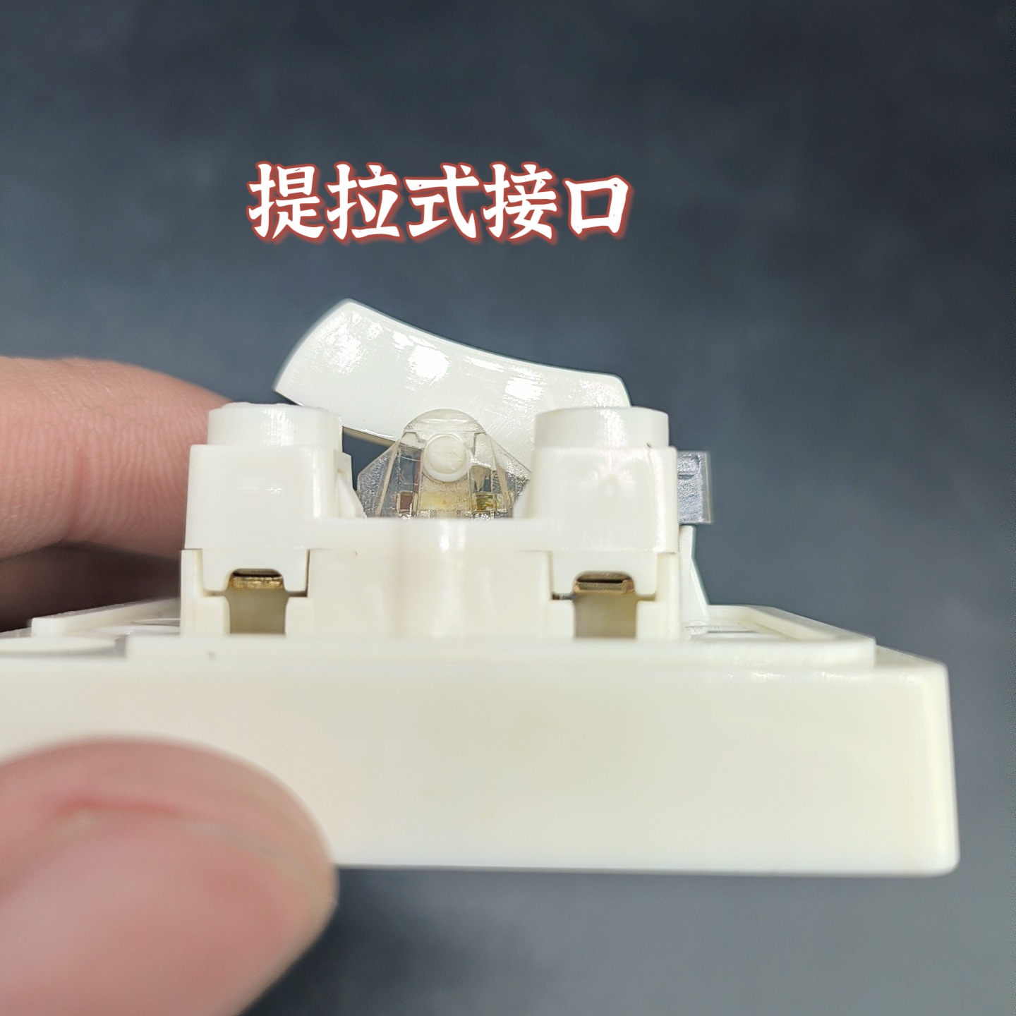 MEITU_20241228_165700529