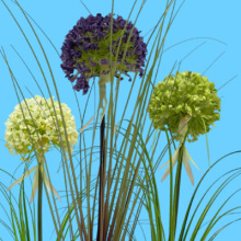 �羳diy�ζ�ٻ����������[��pet�p�ݸ߶��[���ѹ�Ӣ�Gë����滨