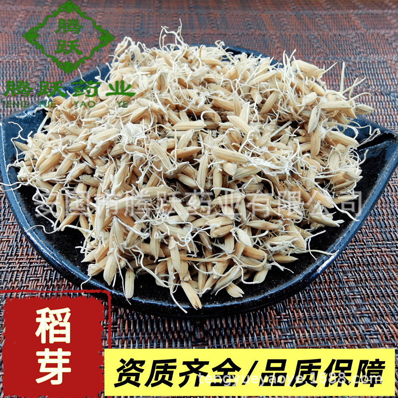 Dried Rice Sprout Dao Ya 谷芽 Raw Herb for Decoctions and Herbal Teas 1kg Bag overview