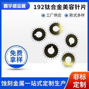 192 Titanium Alloy Beauty Needle Pieces Microneedle Needle Roller Seamless Water Light Needle Beauty Skin Care Face Roller