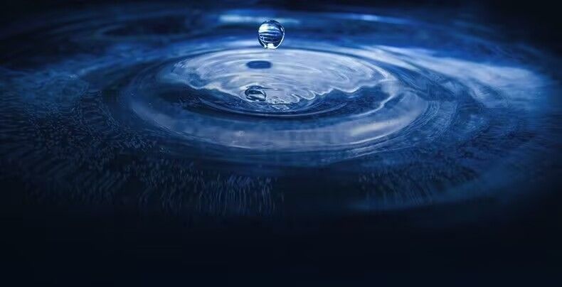 cda55164-ce90-4cb0-b93a-a0766abd3a6c.jpe