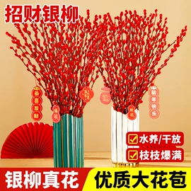 盆栽;园林果树;种子