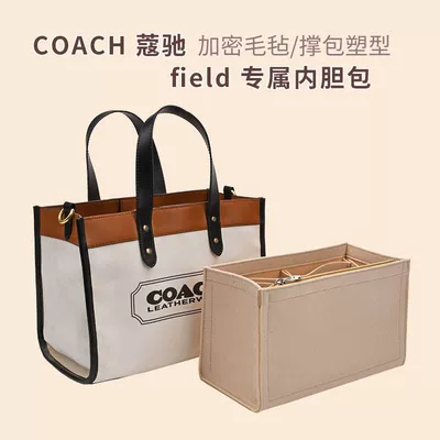 Car roof lining – Tote Liner Bag, Carriage 30