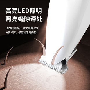 �羳������ë������؈�����_ë��������β����Ƽ��޼�С������