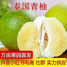 其他水果;柑桔;梨