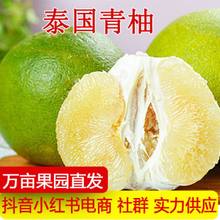 ̩���������ְ����߮����r���������r����ˮ��֭��ζ�����r����