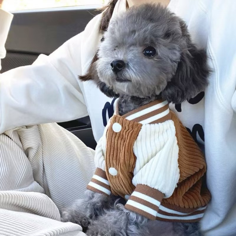 Versão coreana do uniforme de beisebol para cães, jaqueta para animais de estimação, roupas de pelúcia, Bichon Frise, Pomeranian, cachorro e gato pequeno, roupas de outono e inverno, roupas quentes