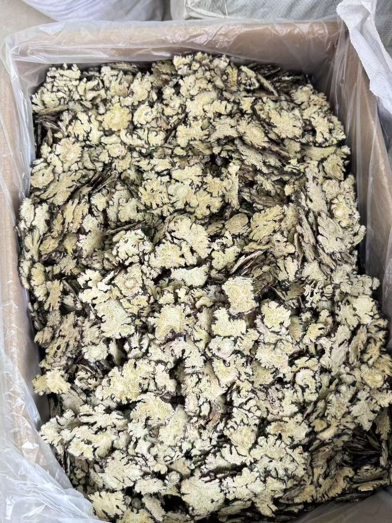 Chuan Xiong Sichuan Lovage Rhizome Slices Dried Herb for Decoction and Tea 500g overview