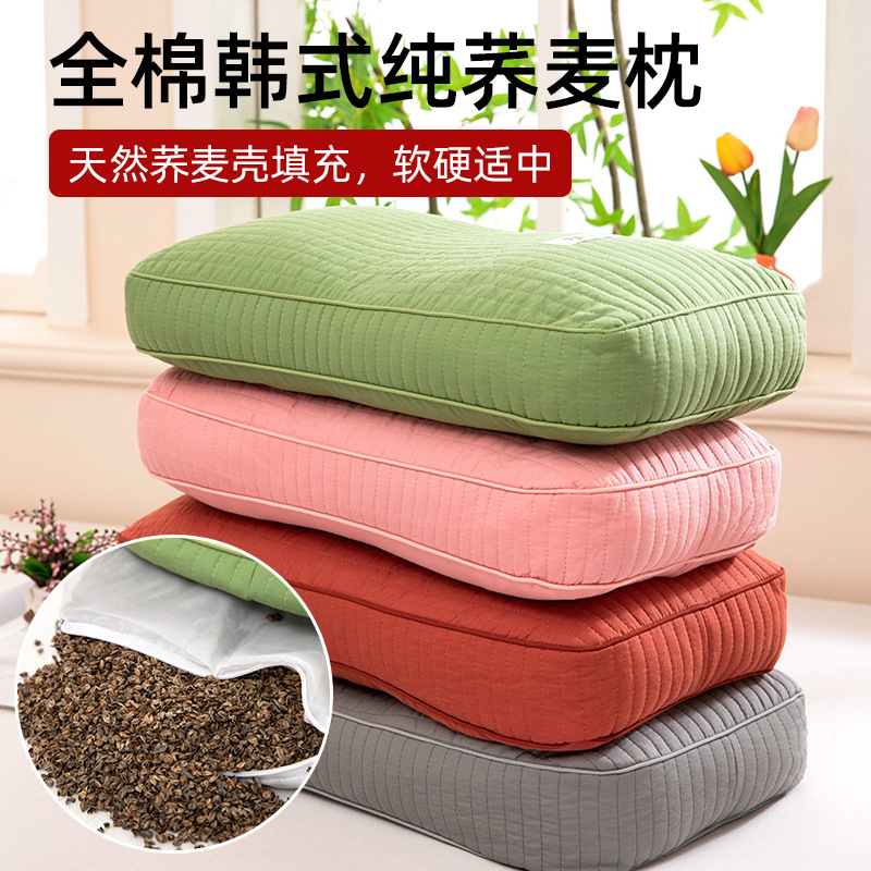 2025新款纯棉韩式纯荞麦枕夏季全荞麦皮壳枕头枕芯小整头硬枕午睡