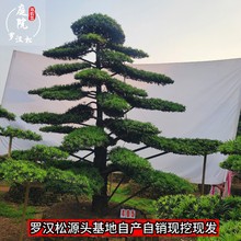 ձ_hɘreͥԺӭlбhRˮa_hɆľ