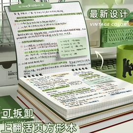 文件包;文件袋;文件夹