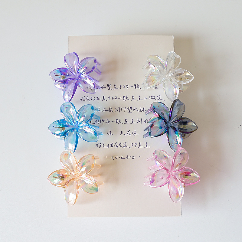 12g Weight Hair Claws Hair Accessories Type 1 Piece Quantity Holiday, Daily Occasion Plastic, Resin Material Plumeria Pattern Women's Gender Simple Style Style Simple Style Women's Plumeria Plastic Resin Hair Claws 8