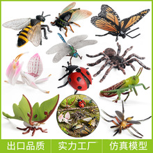 �羳��ͯ�J֪�w�����x����ģ�ͷ�����ߺ����۷�֪������������b