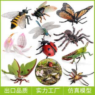 �羳��ͯ�J֪�w�����x����ģ�ͷ�����ߺ����۷�֪������������b