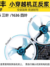 Ǭ�SGF�҃ȴ�Խ�C������ 1635���~�{ 1636���~�{ 1.5���������L�~