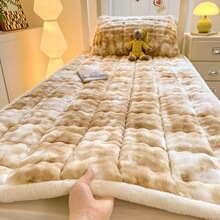 �ﶬ����ëţ�̽q���|�������ҌW���������ë̺���촲�w�ӽq��̺