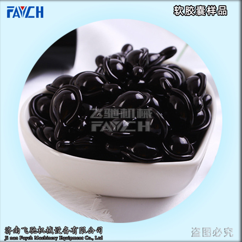 山东飞驰RJN-65型胎盘素软胶囊生产设备