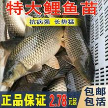 �����~���~��������·�ཨ�����S���~�������~����~�tβ���~�~��