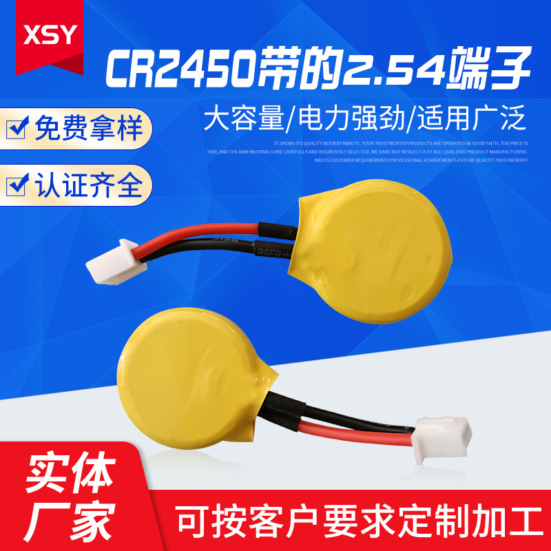 CR2450带线纽扣电池 高容量焊线插头电池 仪器仪表带线带端子电池