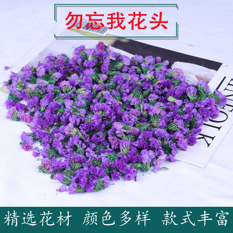 Forget-Me-Not Eternal Dried Flower Material, Flower Heads, Flower Buds, DIY Materials, Aromatherapy Filling, Decorative Air-Dried Plants, Eternal Flowers