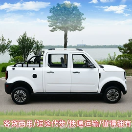 其他电动车;电动三轮车;其他非机动车