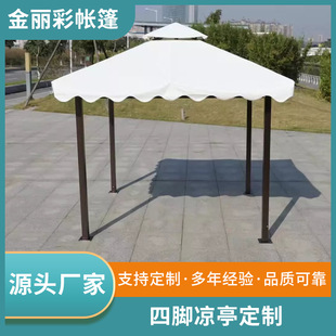 ��������ͤ��ͨ·�ڷ�����������_�Rչ�N���V�掤��ͥԺ�ĽǛ�ͤ