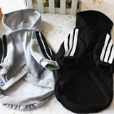 Одежда для домашних животных плюшевая собачья одежда для домашней одежды Производитель одежды для кошачьей одежды иностранная торговля оптовые домашние животные осень и зимние толщины