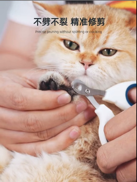 Cortauñas para mascotas pequeñas tijeras ciegas tijeras pata de gato perro cortaúñas artefacto especial para principiantes gatito títere