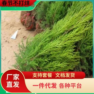 һ�����l�ؘ����ɰ����ؘ�����u�����ɘ䌚����������Ĺ�ذؘ�