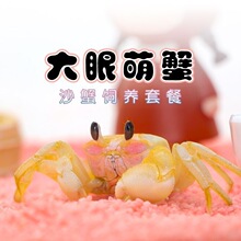 �W�tɳз���A���b��ɳз��B��B�����^�pз��B�ײʹ���ɳз��з