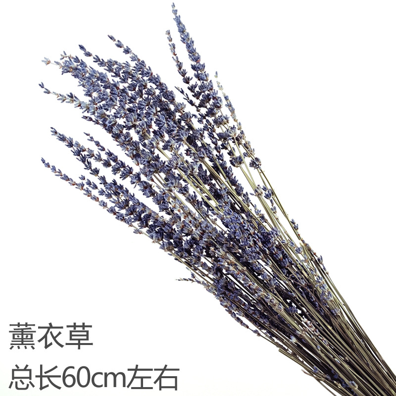 라벤더 꽃다발