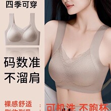 �¿�o���ٽz����Ů�����Ứ�o�Ȧ�۔n�̶���������ܛ֧������